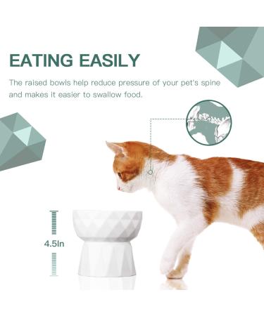 Frewinky Ceramic Cat Bowls - Anti Vomiting Raised Cat Food & Water Bowl Set - 13.5 Oz Pure White - Buy Online on GoSupps.com