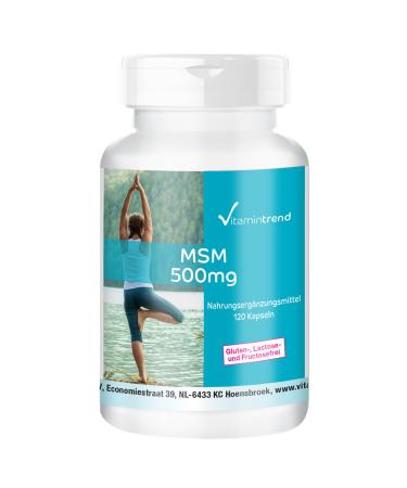 MSM 500 mg 120 capsules methylsulfonylmethane high dose vegan bioavailable supplements from Germany Vitamin trend