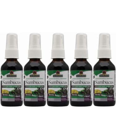 Nature's Answer Sambucus Black Elder Berry Extract Spray Alcohol-Free 2 fl oz (60 ml)