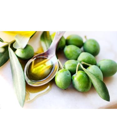  CARAVELLA FINE FOOD Pack of 6 Caravella Classico Extra Virgin Olive Oil 250ml x 6 - 100% Italian - Exclusive Gourmet Collection - Cold Extracted - New Fresh Harvest Olive Oil Campaign - Buy Online on GoSupps.com