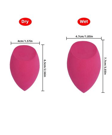 Dolovemk Makeup Sponge Set & Chubby Foundation Brush 5 PCs Latex-Free Beauty Application Tools - Buy Online on GoSupps.com