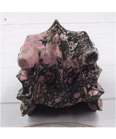 Meditation Home Decor Natural Rhodan Stone keel carvings Dragon Head can do Bonsai Fish Tank Scene as Well as The Role of Evil Spirits Meditation Reiki 550-600g - Buy Online on GoSupps.com