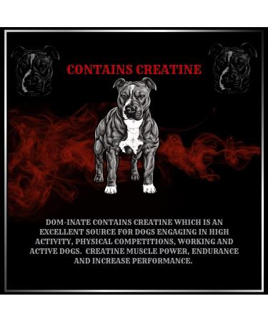 Advanced Animal Care Dog Muscle Builder All Breeds Muscle Gainer for Dogs Dominate Bully Maximum Gain Strength Energy Chew - Buy Online on GoSupps.com