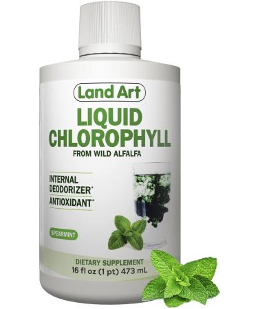 Liquid Chlorophyll Mint Flavored  Cold Extracted from Wild Non-GMO Alfalfa - Detox - Alkaline - Natural Body Deodorant  Antioxidant - 16 fl oz