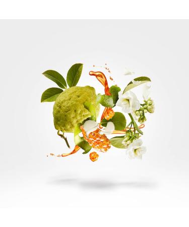 XERJOFF Naxos Eau de Parfum Luxury Fragrance for Men & Women 3.4 Fl Oz - Buy Online on GoSupps.com