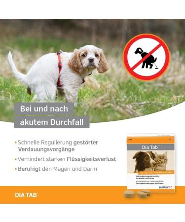 alfavet Dia Tab chewable tablets for relief of acute intestinal absorption disorders during and after acute diarrhea 20 x 5.5 g - Buy Online on GoSupps.com