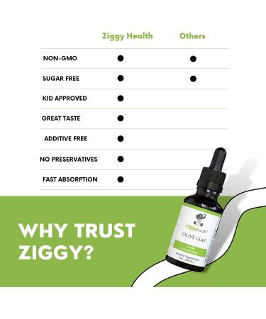 Organic Olive Leaf Extract Liquid Tincture - Alcohol Free Supplement for Cardiovascular and Overall Health - Vegan - 1 oz - Buy Online on GoSupps.com