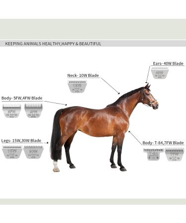 BESTBOMG 10W Pet Grooming Blades - Removable Compatible with Scherg men Heiniger Moser Max45 Andis Oster A5 - 1/16 Inch Cutting Length (1.5 mm) - Buy Online on GoSupps.com