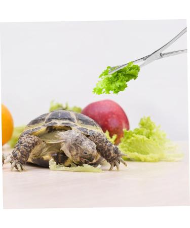 HAPINARY Reptile Feeding Clip Feeding Tools Aquarium Tongs Extra Long Silver Stainless Steel - Buy Online on GoSupps.com