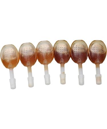 Glycerin Suppositories 6pcs 7ml - Adults Constipation Relief | Promotes Intestinal Peristalsis | Improve Constipation | With Honey - Buy Online on GoSupps.com