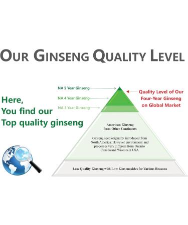 Vigorwell Premium 4-Year Bulk American Ginseng (1LB/454G/16OZ X 3 Bags)-Value Pack Save 15% - Buy Online on GoSupps.com