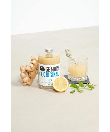 ORGANIC* REFRESHING DRINK WITHOUT ALCOHOL: "GINGER CONCENTRATE" * from organic farming. - Buy Online on GoSupps.com