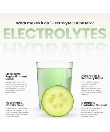 310 Shake Chocolate Bliss + Hydrate Cucumber Bundle Plant-Based Meal Replacement with Superfoods & Electrolytes Keto Friendly Sugar-Free 28 Shake Servings + 30 Hydration Packets - Buy Online on GoSupps.com