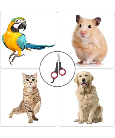 Professional Parrot & Cat Nail Clippers - Pet Claw Scissors for Small Animals & Kittens | Fast International Shipping - Buy Online on GoSupps.com