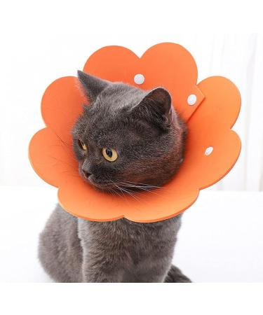 Tecatty Pets Calant Crauses Anti-Delicious Adjustable Cat Collar | Lightweight Elizabethan Collar (S Orange) - Protect Your Cat's Comfort - Buy Online on GoSupps.com