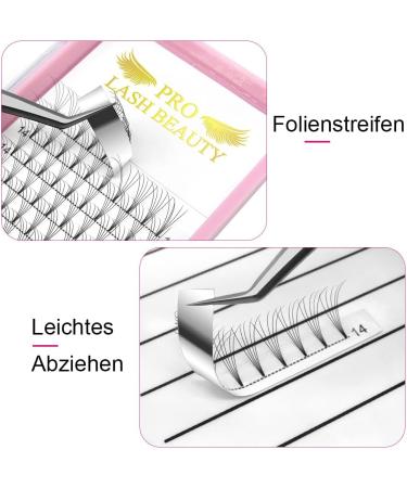 5D-C-0.07-13mm Short Stem Pre Made Fan Eyelash Extensions - Russian Volume Lashes 0.07 0.10 - Buy Online on GoSupps.com