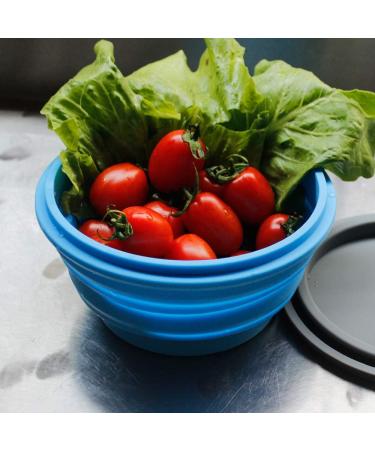 Mr. Peanut's Collapsible Silicone Camping Bowl with Lid & Fork - Portable Outdoor Dining Essentials - Buy Online on GoSupps.com