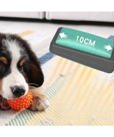 Buy Lurrose 6-Piece Animal Hair Brush & Lint Razor Set - Multifunctional Cleaner for Couch Carpet and Clothes - International Shipping Available - Buy Online on GoSupps.com