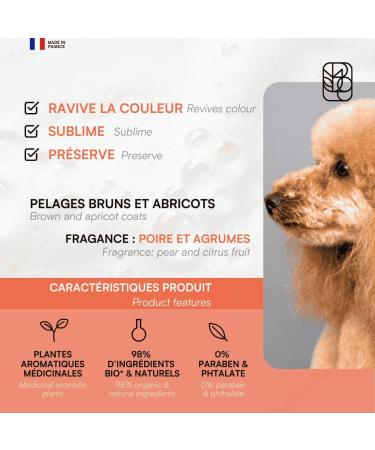 BIOGANCE - Apricot Hair Shampoo (Tawny Apricot) - Buy Online on GoSupps.com