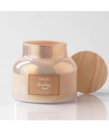 Scented Candle 16 Oz Large Jar Candle up to 65+ hours burn time Sparkling Birch scented Non-Toxic Candles for Home Decor & Aromatherapy