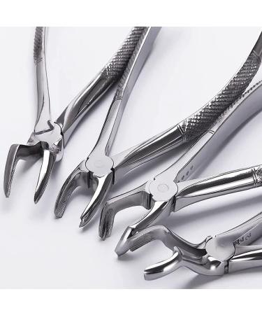 Mzlaly Dance Suit for Children | Stainless Steel Dental Extraction Instruments - 10 Piece Kit for Adults | Durable Dental Tongs in Silver - Buy Online on GoSupps.com