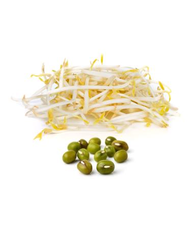 50 g mung bean seeds organic germination seeds for sprouts & microgreens vegan raw food