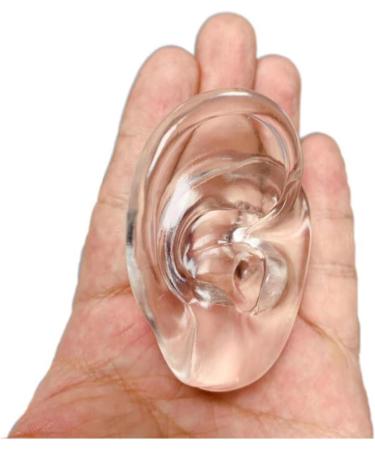 Professional Ear Model 1 Pair Artificial Practical Ear Display Simulation Fake Ear Jewelry Ear Studs Hearing Aids - Buy Online on GoSupps.com