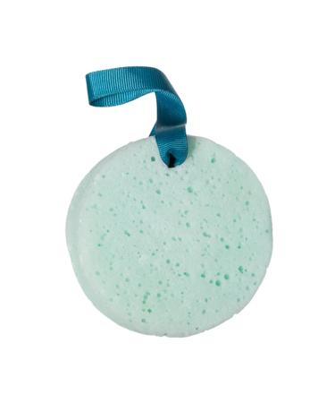 Seas The Day Body Wash and Polish - Exfoliating Body Scrubber with Loofah Sponge - Shower Sponges for Women - Ocean Breeze - 3 oz