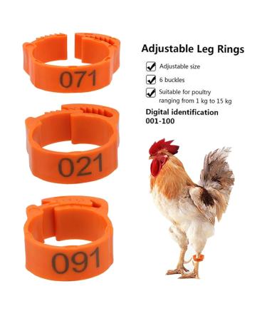 Buy Perfk 100x Poultry Leg Bands - Durable Chicken Leg Rings with Shield for Ducks - 100 Pieces for International Shipping - Buy Online on GoSupps.com