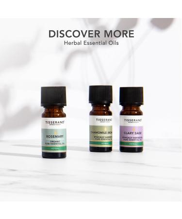 Tisserand Chamomile Blue Essential Oil 2ml - Ethically Harvested Natural Aromatherapy Oil for Relaxation & Wellness - Buy Online on GoSupps.com