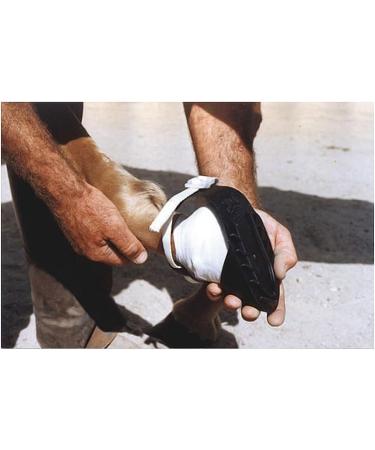 Kerbl Shoof Horse Shoe Size 3 ( 145 mm) - Durable Lightweight & Ideal for International Shipping - Buy Online on GoSupps.com