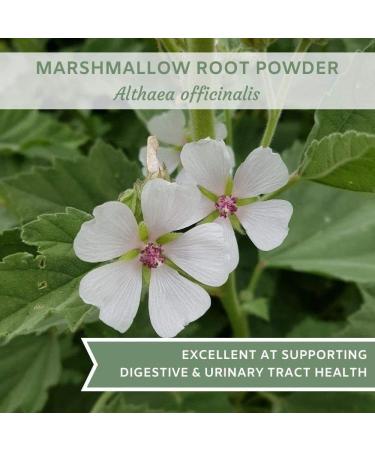 Organic Marshmallow Root Powder 16 oz - USDA Certified Althaea Officinalis Herb, 1 lb Powdered Pack - Althea Officinalis, Marshmellow Root Organic - Buy Online on GoSupps.com