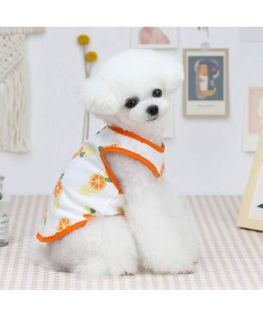 5-Pack Cute Fruit Printed Dog Shirts | Breathable Puppy Vests & Summer T-Shirts for Small Dogs & Cats | Fashionable Beach Clothes - Buy Online on GoSupps.com