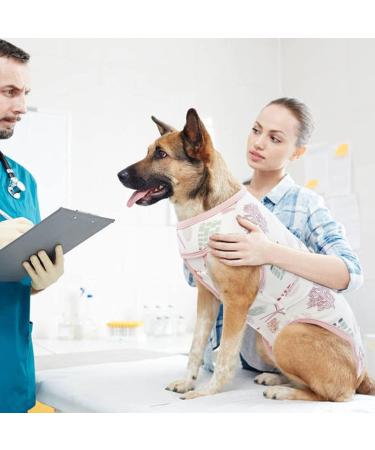 XXL Dog Surgical Recovery Suit | Soft & Breathable Onesie for Post-Op Dogs & Cats - Spay Castration Bodysuit - Buy Online on GoSupps.com