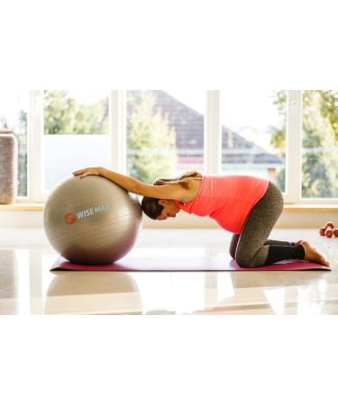 Wisemax Exercise Ball Chair Bundle - 65cm Gray with Ring Base, Resistance Bands, Pump, Carry Bag, Poster - Ideal for Home, Office, Gym Workouts - Buy Online on GoSupps.com