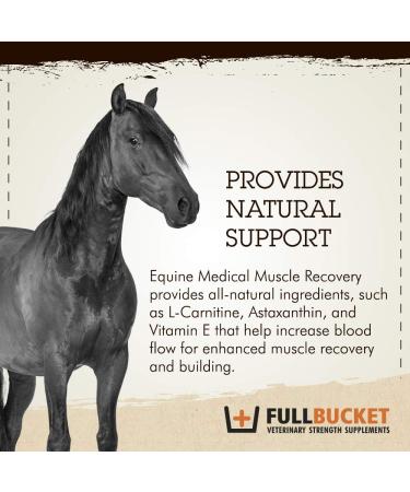 Equine Medical Muscle Recovery - Best Athletic Supplement for Horse Performance & Muscle Recovery - Buy Online on GoSupps.com