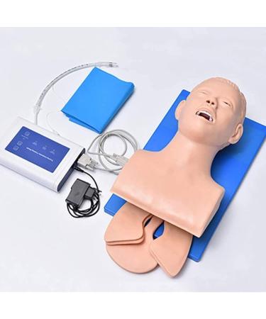 Buy Human Body Airway Management Trainer - PVC Intubation Teaching Model for Oral-Nasal-Tracheal Training | International Shipping Available - Buy Online on GoSupps.com