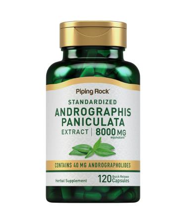 Piping Rock Andrographis Paniculata Extract | 120 Capsules | Standardized Herbal Supplement | Non-GMO Gluten Free