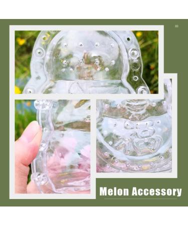Cabilock Fruitella 2Pcs Cucumber Shaping Clear Watermelon Growing Molds Transparent Pear Growing Fruit Vegetable Shaping Mould Vegetables - Buy Online on GoSupps.com