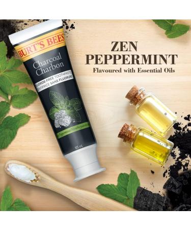 Burt's Bees Toothpaste Fluoride Free Charcoal Zen Peppermint 210 Milliliters Total (Pack of 2) Charcoal Toothpaste (Pack of 2) - Buy Online on GoSupps.com