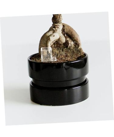 HANABASS 2pcs Pet Water Feeder Ants Farm Accessory Ants Water Drinking Bowl Mini Liquid Feeder Plastic - Buy Online on GoSupps.com