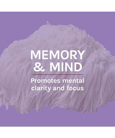 Host Defense Lion's Mane Extract 2 fl oz - Promotes Mental Clarity, Focus, and Memory - Mushroom Supplement - Buy Online on GoSupps.com