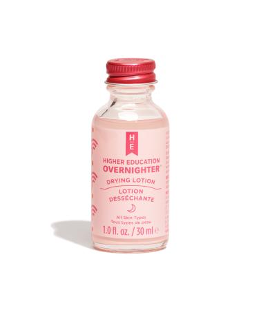 Higher Education Skincare OVERNIGHTER Drying Lotion with Calamine and Salicylic Acid + 30 Swab Applicators 1 fl. oz. Overnight Spot Treatment for Facial Pimples/Zits Acne Control Reduce Redness