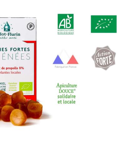 Ballot-Flurin - Organic Pyrenees Strong Gums - Honey and propolis - Made in France - 30g - Buy Online on GoSupps.com