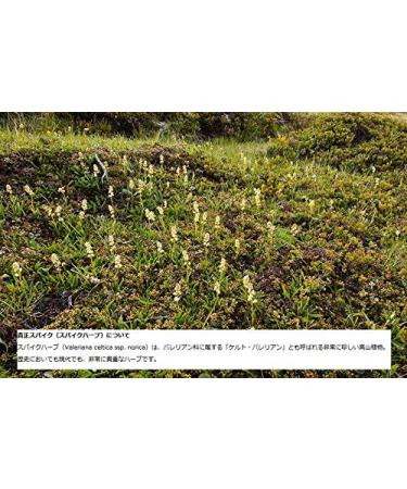 Speick Thermal Sensitive Body Lotion | Soothing Hydration for Sensitive Skin | International Shipping Available - Buy Online on GoSupps.com