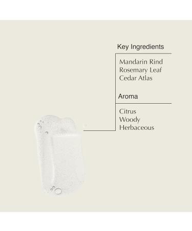 Aesop Resurrection Rinse-Free Hand Wash - Cleanse & Hydrate Alcohol-Based | 16.9 oz | International Shipping Available - Buy Online on GoSupps.com