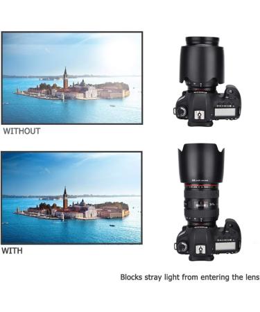 Canon EF 24-70mm f/2.8L USM Lens Hood | Replaces EW-83F | 77mm Filter & Lens Cap Compatible - Buy Online on GoSupps.com