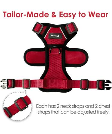 Breakproof Cat Leash Set & Adjustable Soft Kitten Vest with Reflective Stripes | Red Cat Dishes for Small Kittens - Buy Online on GoSupps.com