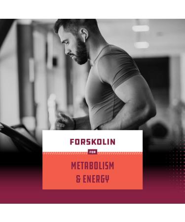 Max Strength Forskolin Weight Loss Supplement - Fast Acting Diet Pills for Men and Women | Natural Appetite Suppressant, Fat Burner, Muscle Builder, Energy Booster | 60 Veggie Capsules - Buy Online on GoSupps.com