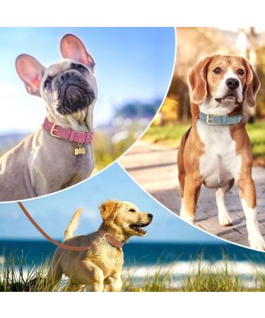 Beirui Soft Padded Leather Dog Collar - Comfortable & Durable for Small Medium & Large Dogs - High-Quality Brown Collar with Alloy Fittings (Neck 33-43 cm Width 2.5 cm) - Buy Online on GoSupps.com